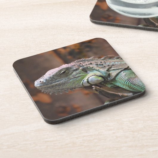 Cork Untersetzer mit farbenfroher Iguana-Eidechse (Linke Seite)