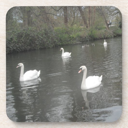 Cork Untersetzer Swans River Schwimmen (Vorderseite)