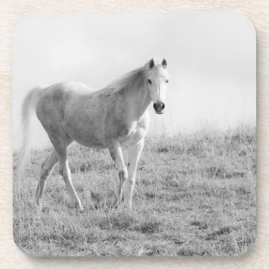 Cork-Untersetzer Untersetzer (Vorderseite)