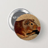 Corkboard Blick-Meerschweinchen Button (Vorne & Hinten)
