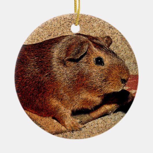 Corkboard Blick-Meerschweinchen Keramik Ornament (Vorne)