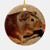Corkboard Blick-Meerschweinchen Keramik Ornament (Hinten)