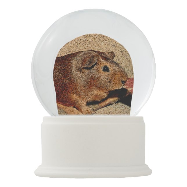 Corkboard Blick-Meerschweinchen Schneekugel (Vorderseite)
