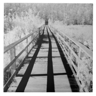 Corkscrew Swamp Sanctuary-Bohlenweg, Florida, Fliese