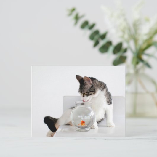 Corky the Cradle Cat Postkarten (Stehend Vorderseite)