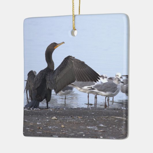 Cormorant and Seagulls Ornament (Links)