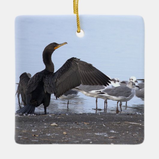 Cormorant and Seagulls Ornament (Vorderseite)