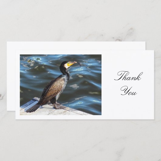 Cormorant - Danke (Vorne/Hinten)