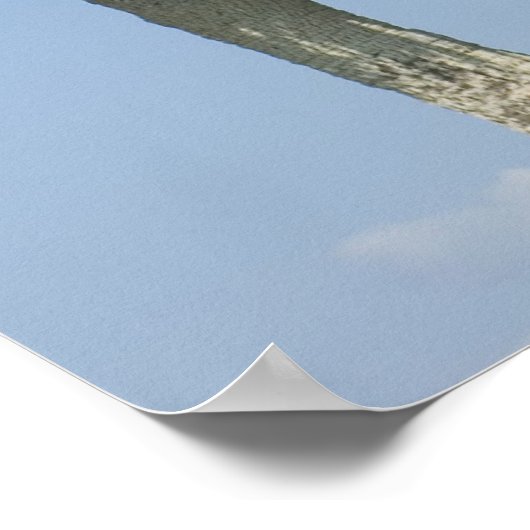 Cormorant Dry Wings Print Poster (Ecke)