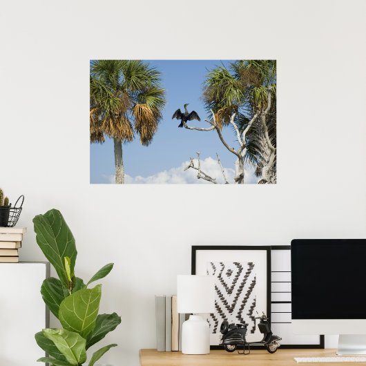 Cormorant Dry Wings Print Poster (Heimbüro)