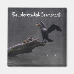 Cormorant Magnet