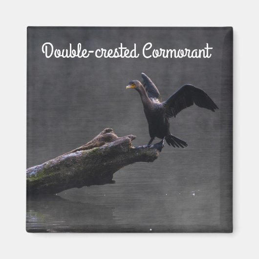 Cormorant Magnet (Vorne)
