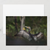 Cormorant Natur Foto Card (Vorne/Hinten)