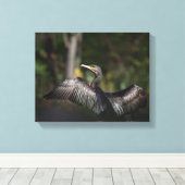 Cormorant Nature Foto Leinwanddruck (Insitu (Holzboden))