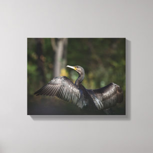 Cormorant Nature Foto Leinwanddruck