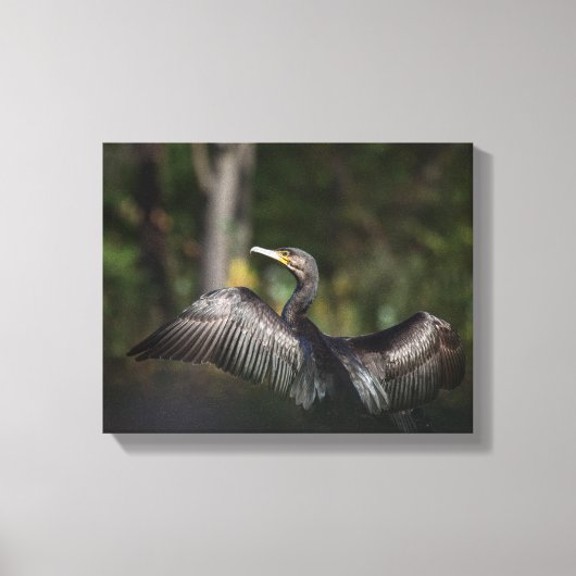 Cormorant Nature Foto Leinwanddruck (Vorderseite)