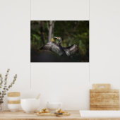 Cormorant Nature Foto Poster (Küche)