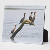 Cormorant Plaque Fotoplatte (Seite)
