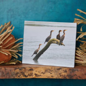 Cormorant Plaque Fotoplatte (Seite)