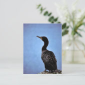 Cormorant Postkarte (Stehend Vorderseite)