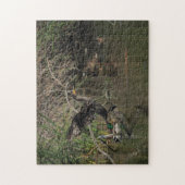 Cormorant Puzzle (Vertikal)
