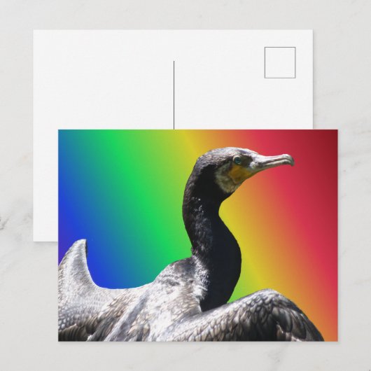 Cormorant Rainbow DIY Postkarte (Vorne/Hinten)