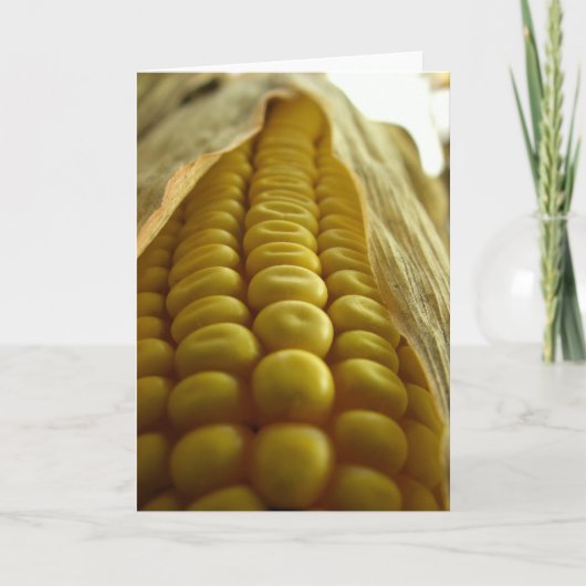 Corn close up Greetingcard Karte (Vorderseite)
