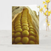 Corn close up Greetingcard Karte (Gelbe Blume)