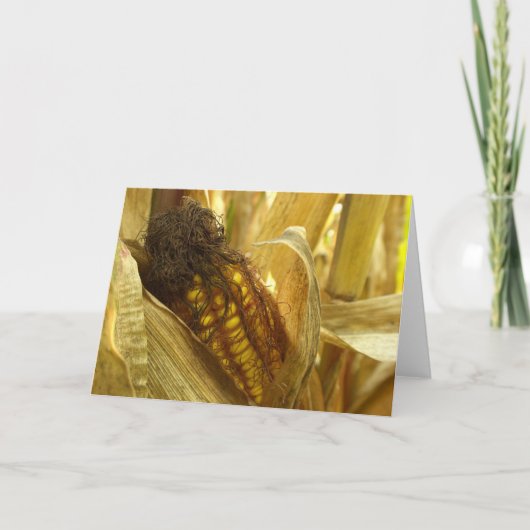 Corn close up Greetingcard Karte (Vorderseite)