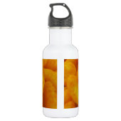 Corn Curls Edelstahlflasche (Rückseite)