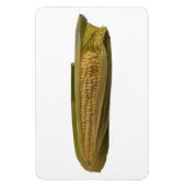 Corn Photot Magnet (Vertikal)