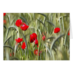 Corn Poppies