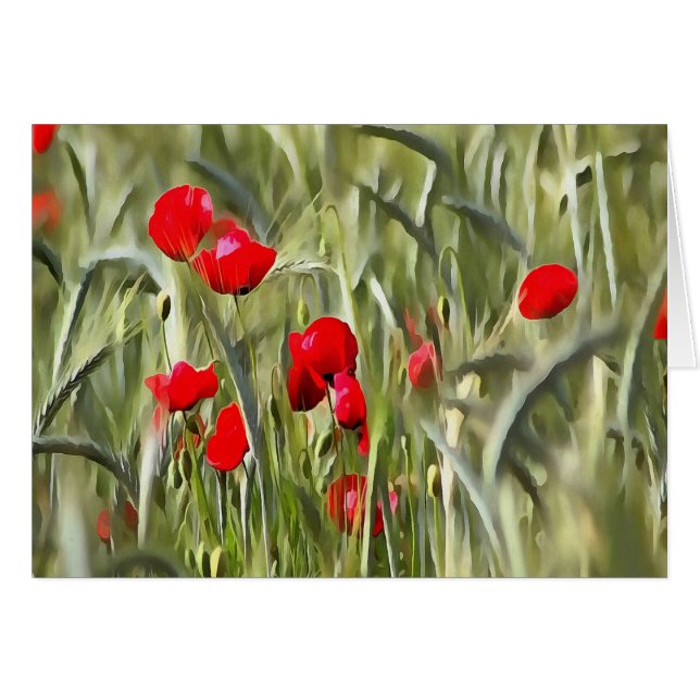 Corn Poppies (Vorderseite (Horizontal))