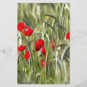 Corn Poppies Briefpapier (Vorderseite)