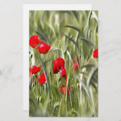 Corn Poppies Briefpapier (Vorne/Hinten)