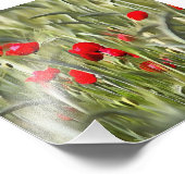 Corn Poppies Fotodruck (Ecke)