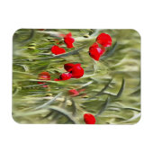 Corn Poppies Magnet (Horizontal)