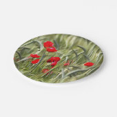 Corn Poppies Pappteller (Schrägansicht)