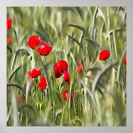Corn Poppies Poster (Vorne)