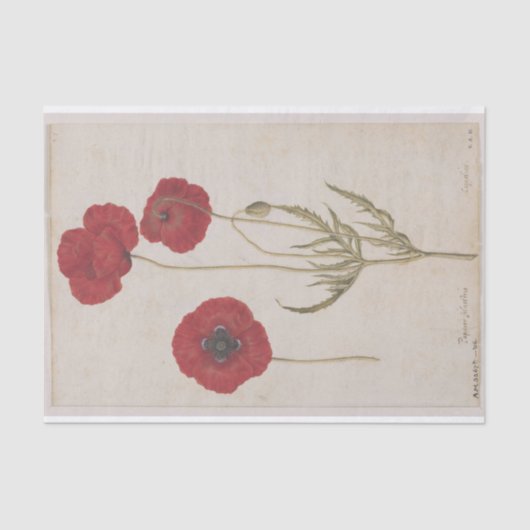 Corn Poppies von Jacques de Morgues Seidenpapier (Vorderseite)