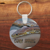 CORN SNAKE SCHLÜSSELANHÄNGER (Vorderseite)