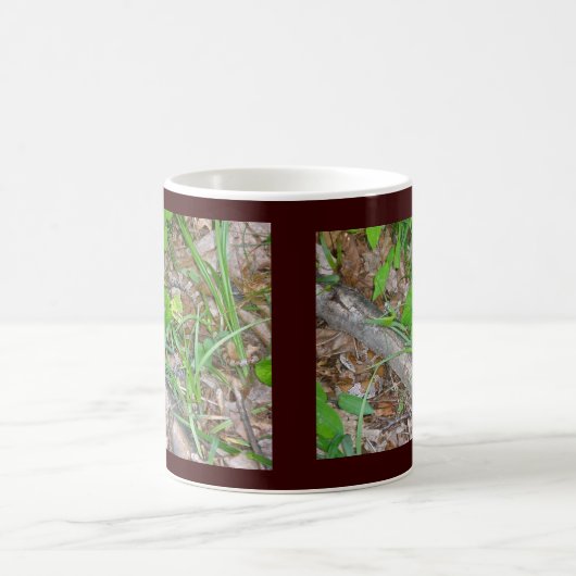 Corn Snake Tasse (Mittel)