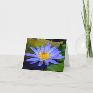 Cornblume Blue Big Water Lily Hinweis Grußkarten Karte