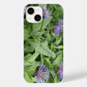 Cornblumen Case-Mate iPhone Hülle (Rückseite)