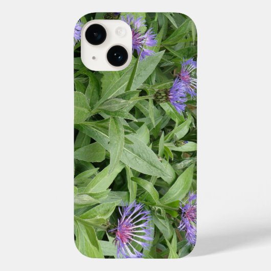 Cornblumen Case-Mate iPhone Hülle (Rückseite)