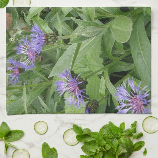 Cornblumen Küchentücher (Gefaltet)