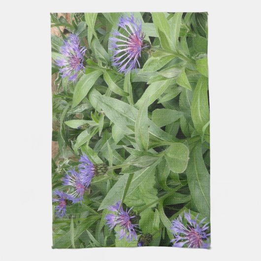 Cornblumen Küchentücher (Vertikal)