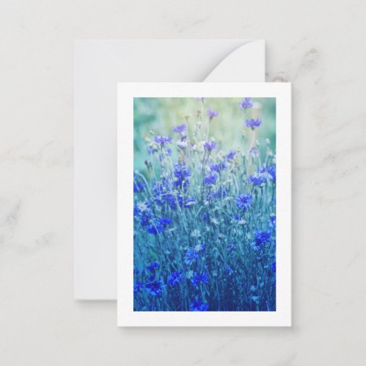 Cornblumen Mitteilungskarte (Vorderseite)