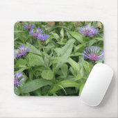 Cornblumen Mousepad (Mit Mouse)