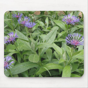 Cornblumen Mousepad